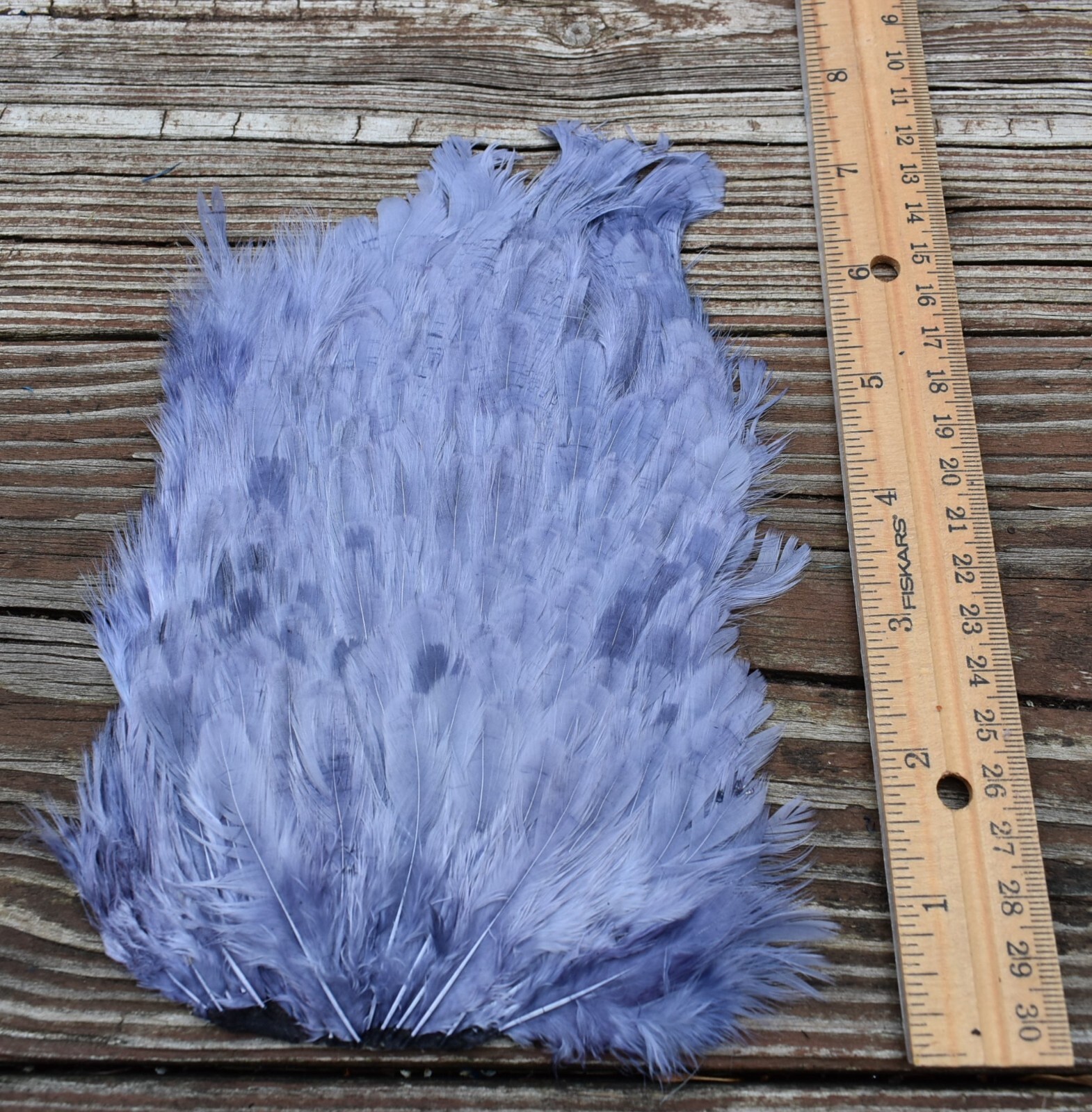 Lot 262,  Dyed Dark Gray Grey India Hen Back Saddle Feathers for Fly Tying