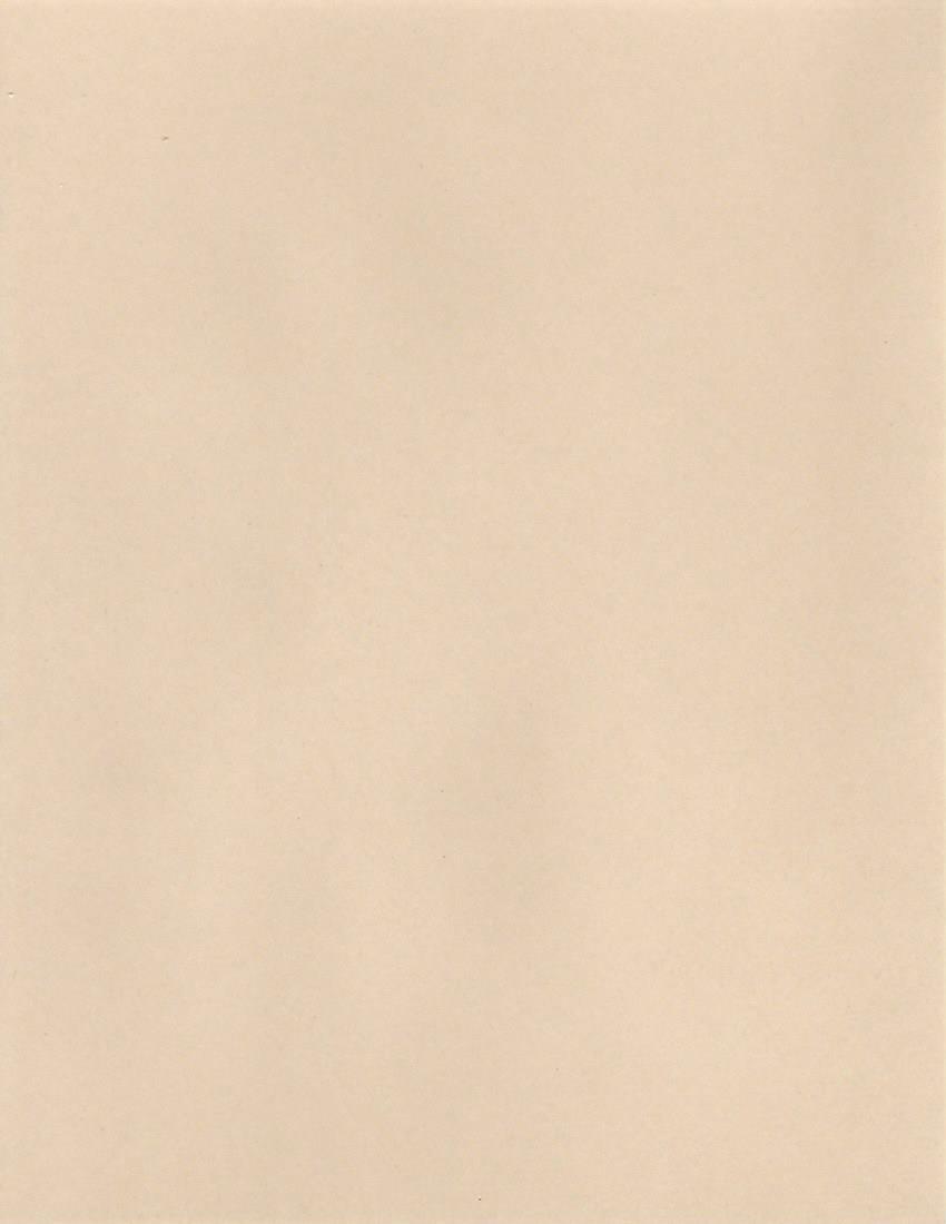 (100 PACK) Blank NRA Tagboard Paper Target Backers, choice of size
