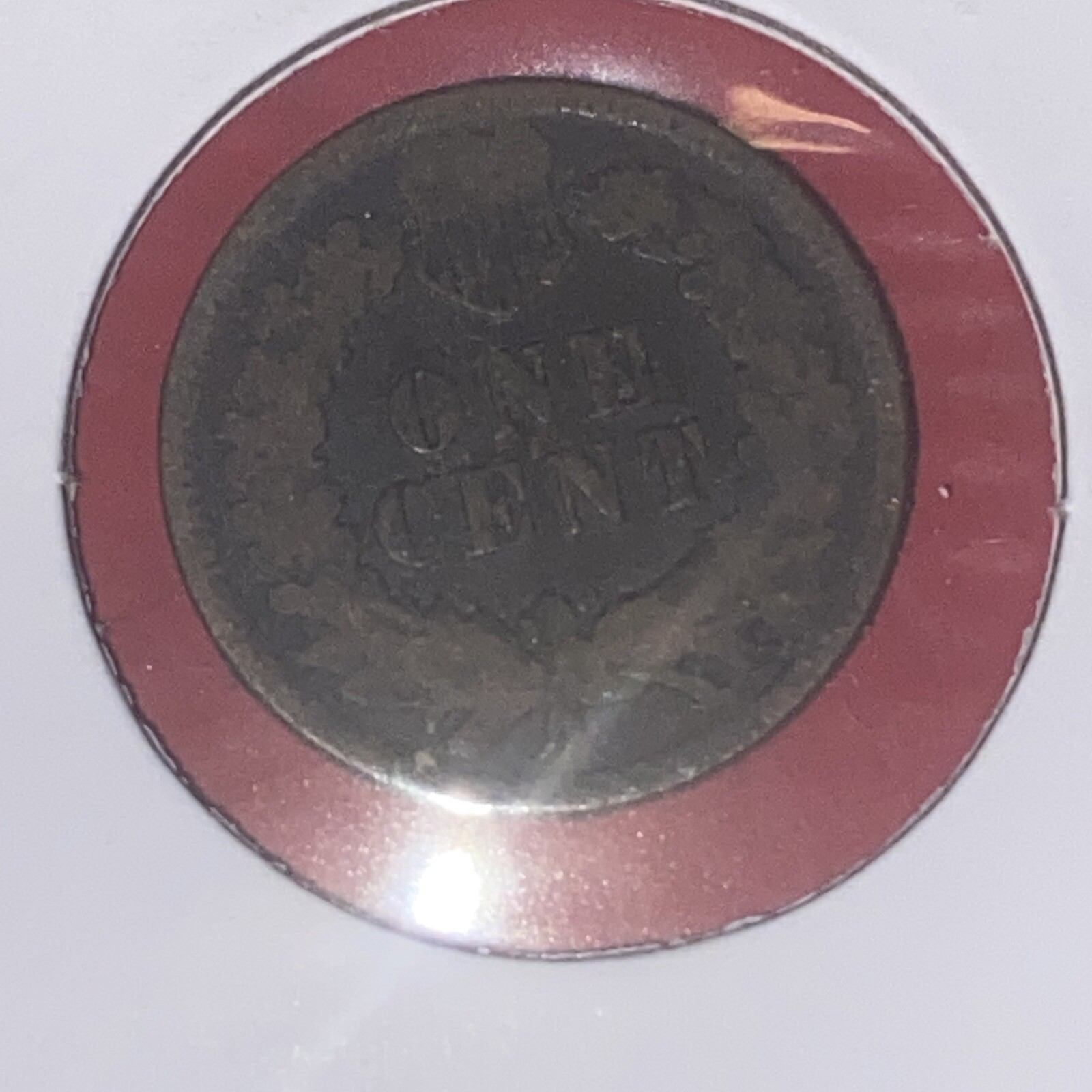 1904 Indian Head Cent • #241218