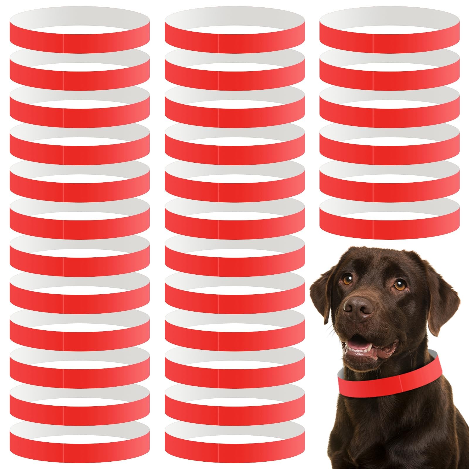 500 Count 20inch Adjustable Paper Dog Collars with Tear Resistant Waterproof ...