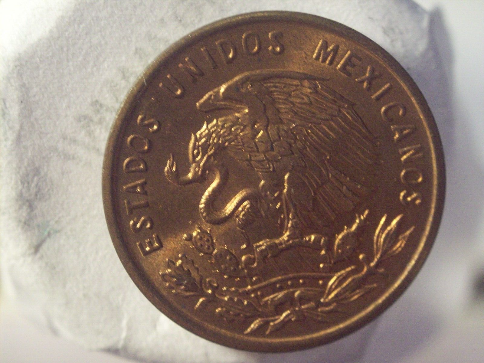 1960 one cent Strong Mexican doubled die REV coin