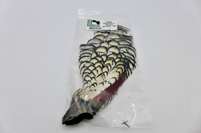 Hareline Dubbin Beautiful WHITE Lady Amherst Head-Feathers Grade 2 Fly Fishing