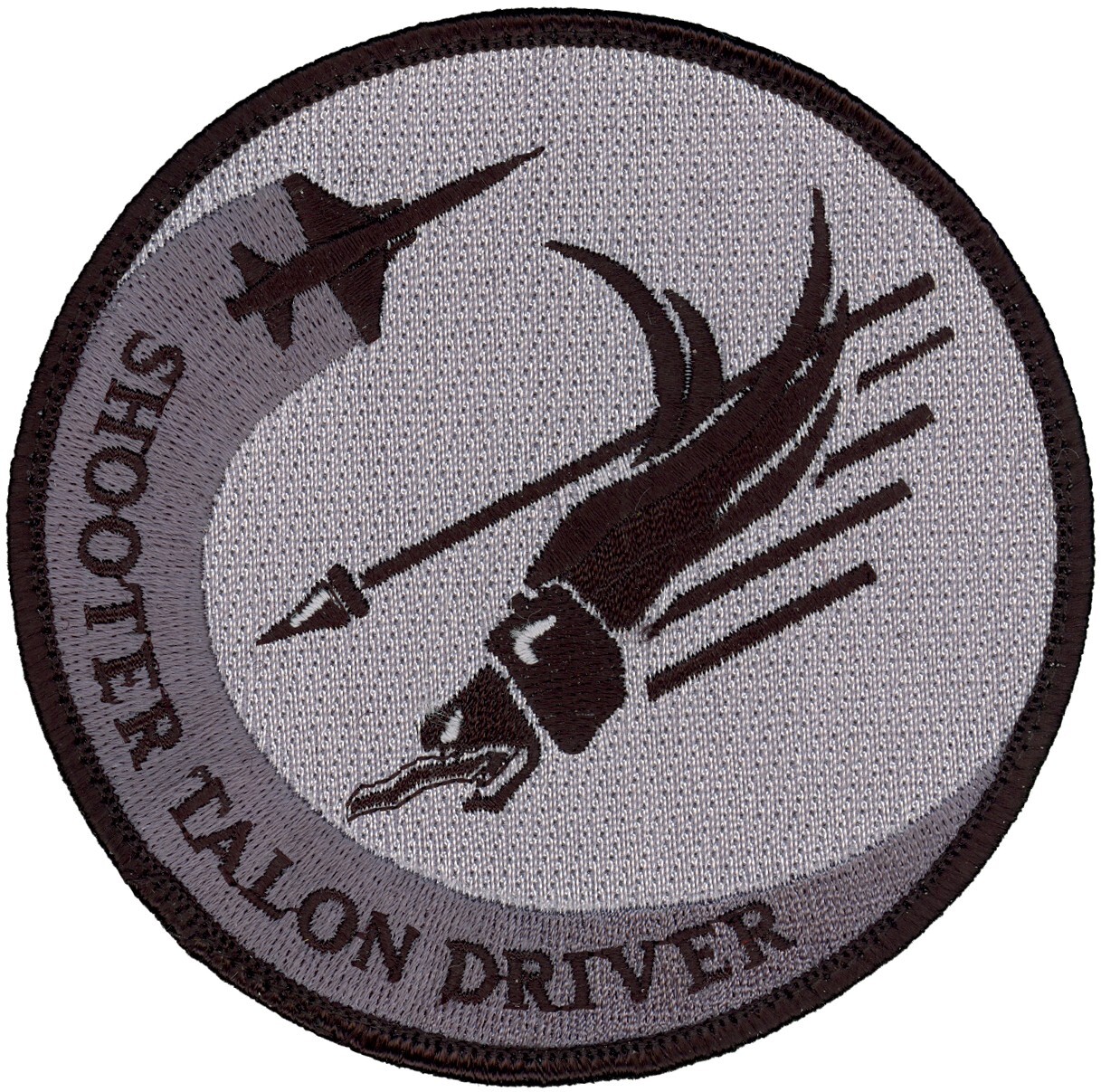 USAF 25th FLYING TRAINING SQUADRON PATCH - T-38 SHOOTER TALON DRIVER
