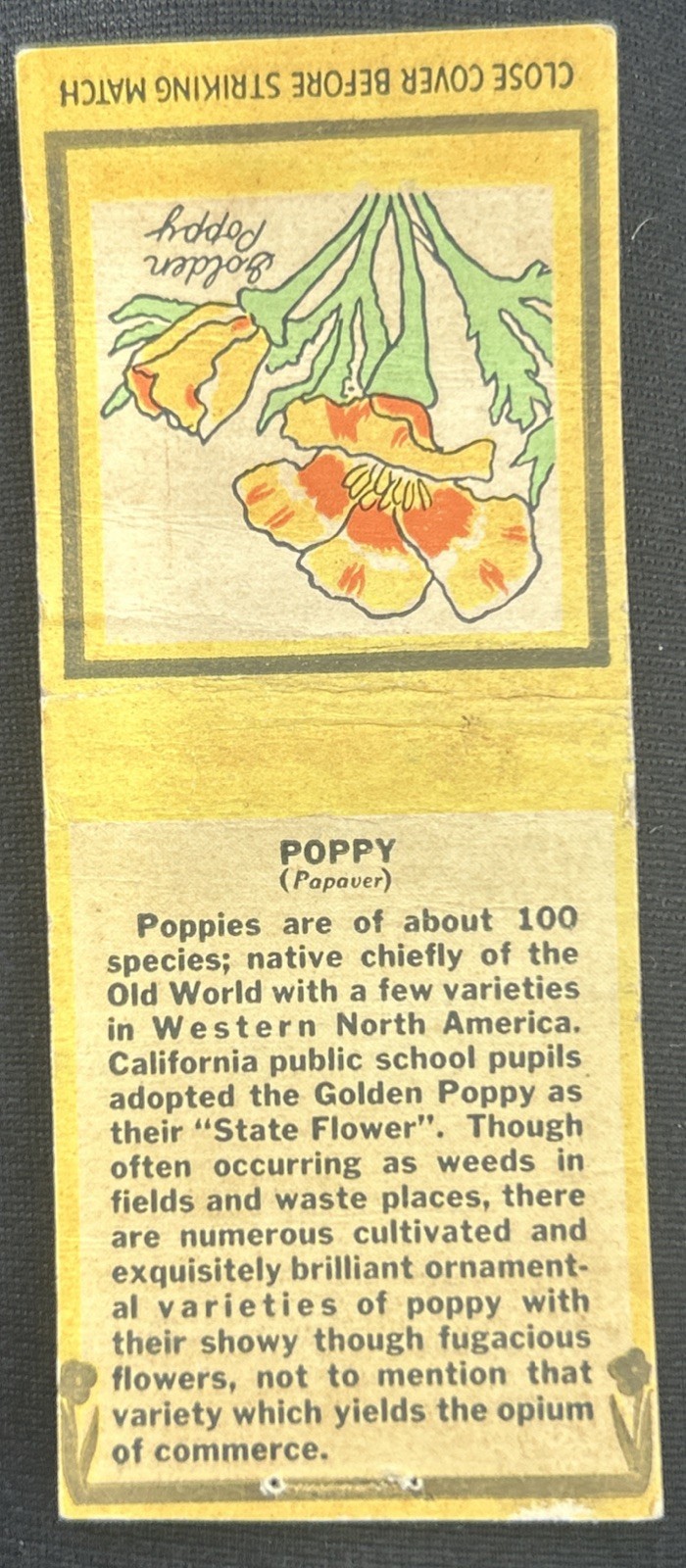 Vintage GOLDEN POPPY Flower Information Matchbook Cover