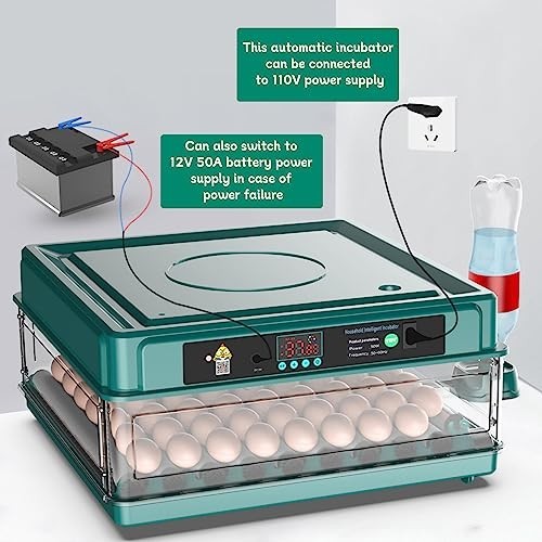 Incubators for Hatching Eggs, Egg Incubator with Automatic Egg Turning and Humid