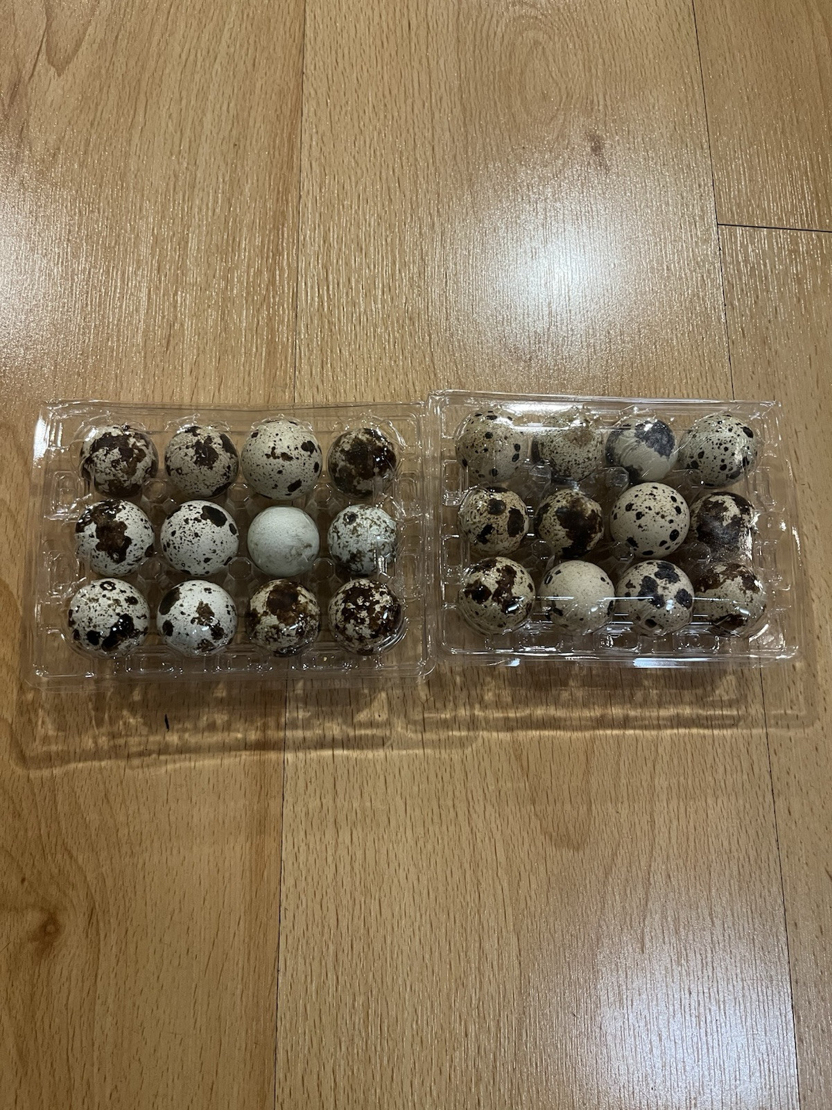 Quail Eggs