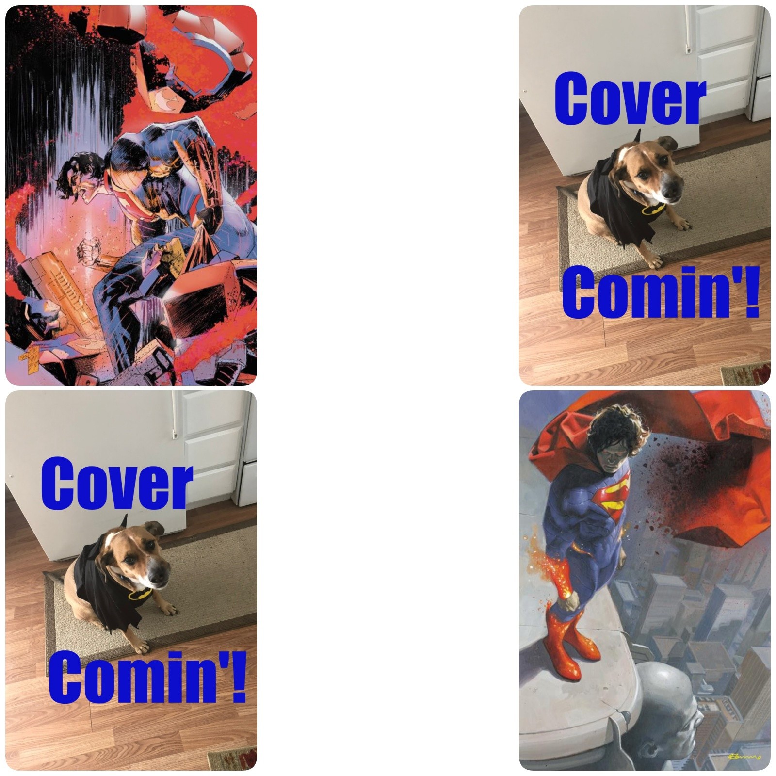 ABSOLUTE SUPERMAN #23 **COVER SELECT** OPEN PRESALE 09/02/26