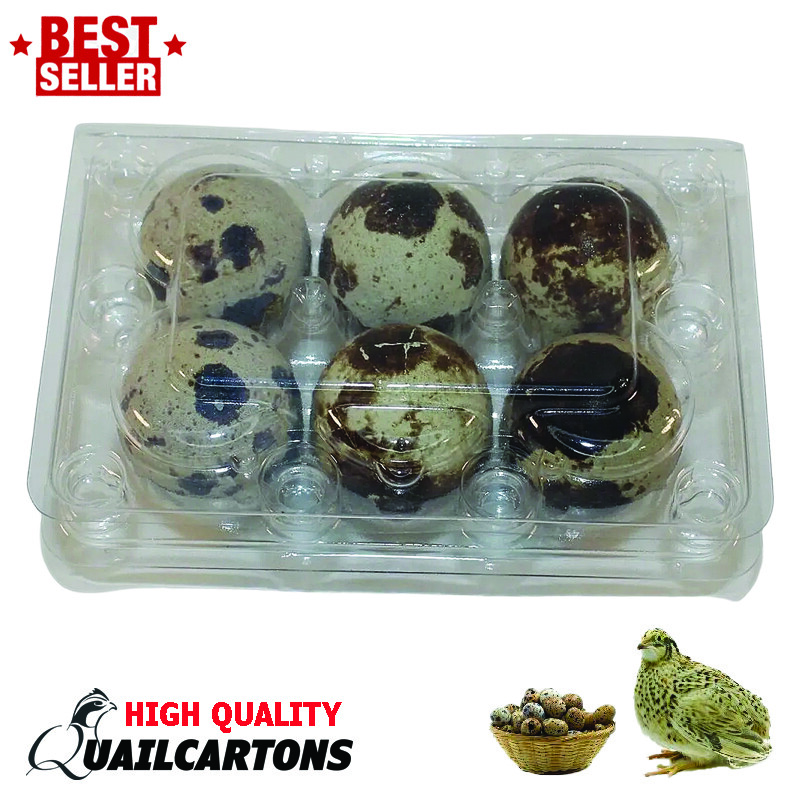 Jumbo Quail Egg Cartons 6 Egg Cell (2x3 with 29*40 Egg Cell)