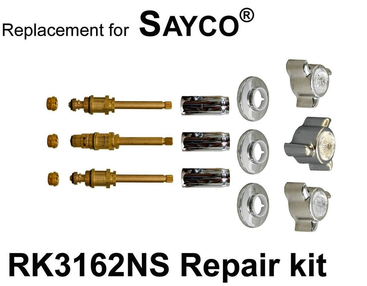 Sayco RK3162NS  3 Valve Rebuild Kit