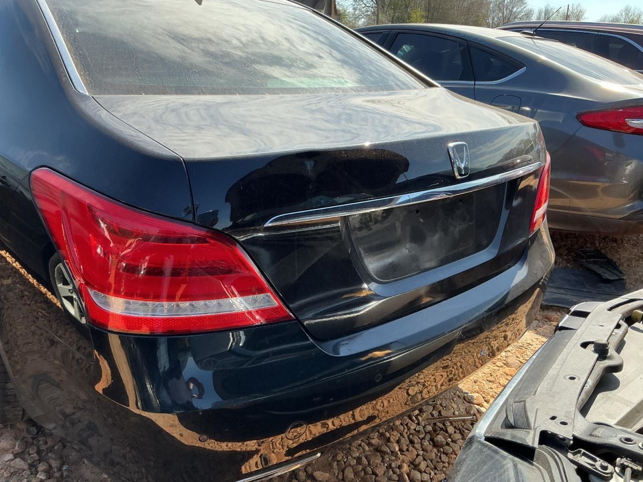 EQUUS 2015 Glove Box 5002216