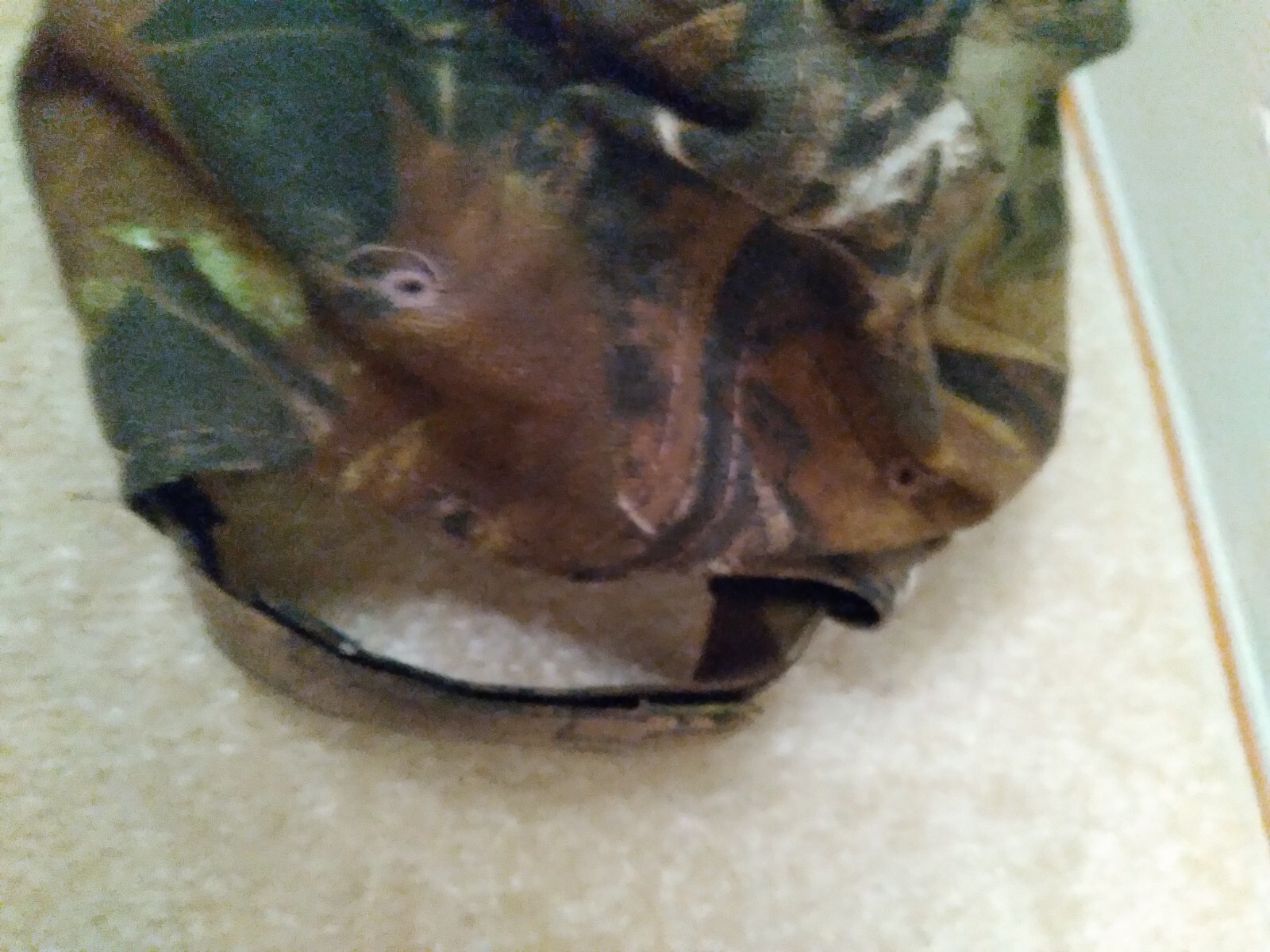 Ten Point Cross Bow Cap ~ Camo ~ Bow Hunting