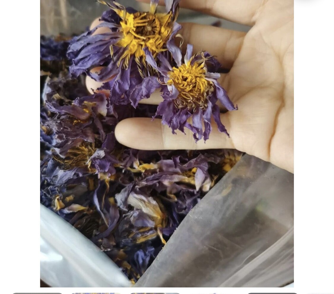 Dried Blue Lotus Herbal tea - 100g - Nymphaea Caerulea- 100% all natural.