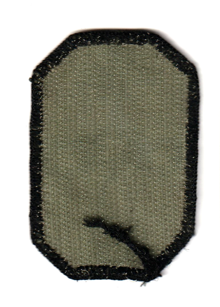 US ARMY 371st SUSTAINMENT BRIGADE Subdued Hook/Loop Patch