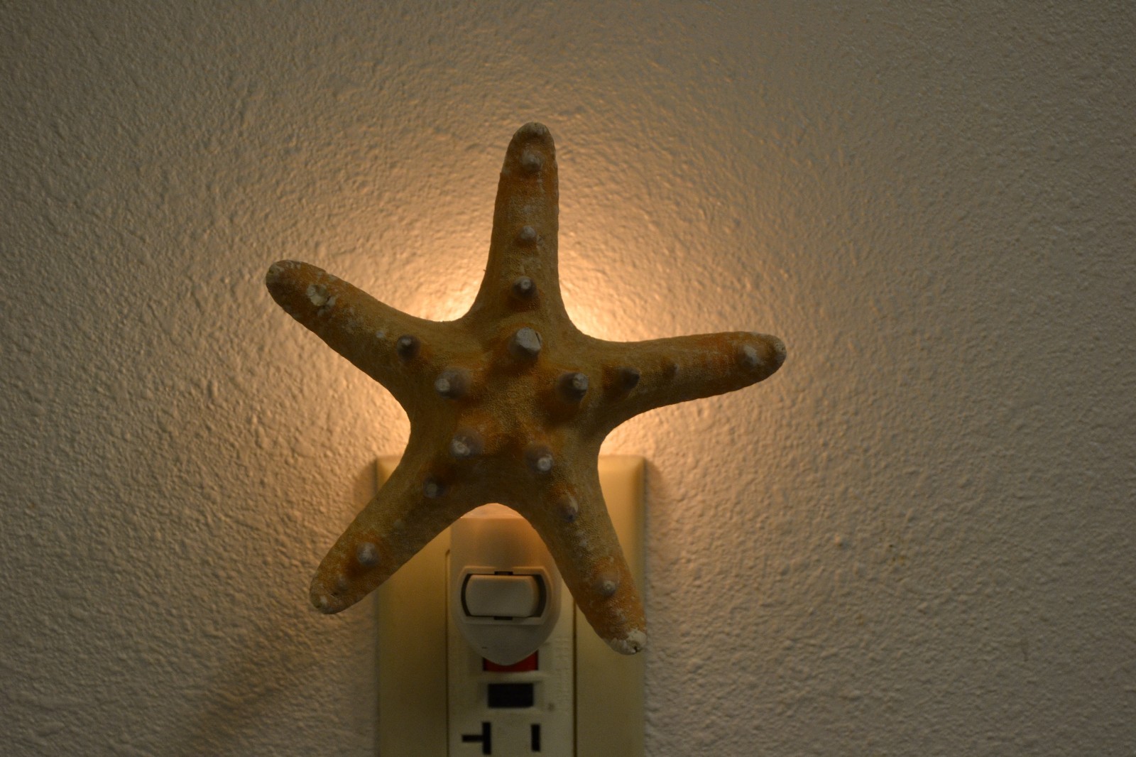 KNOBBY BUMPY STARFISH SEA SHELL NIGHTLIGHT