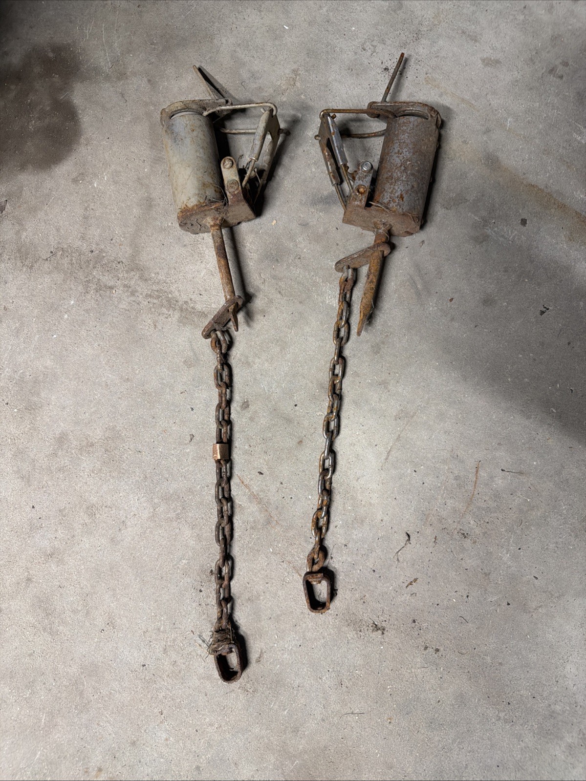 Dog proof Coon Traps 2