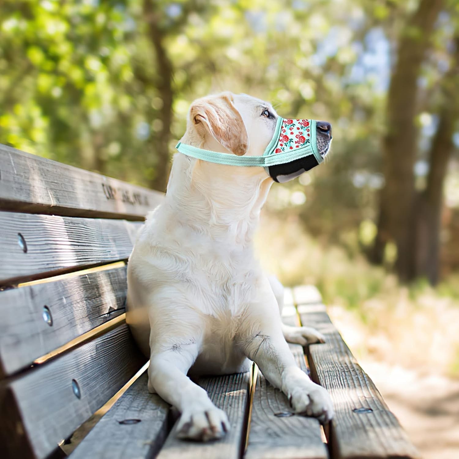 P-Cyan Flower Adjustable Dog Muzzle - Anti Biting, Breathable Mesh for Size M