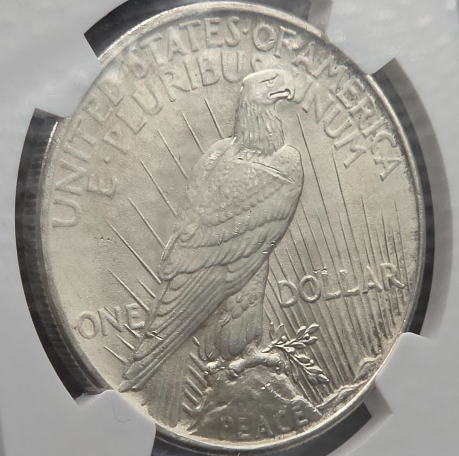 1925 Peace Dollar NGC MS64 – Bright White Luster, Clean Fields, Certified