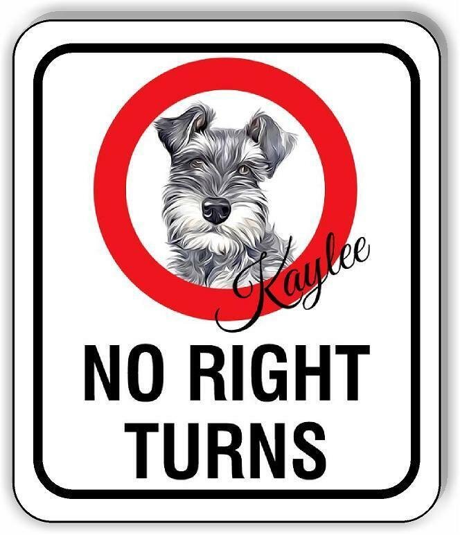 Kaylee No Right Turns Aluminum