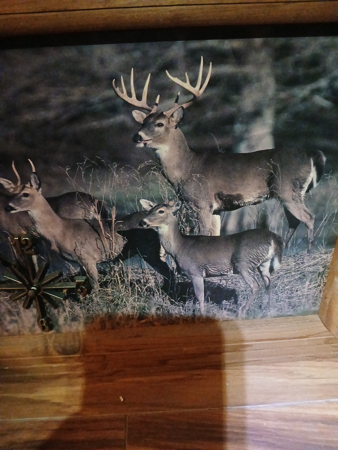 Vintage 1970s Rare Deers  In Field Wall Clock  Works Perfect 16.5x13.5x1.6