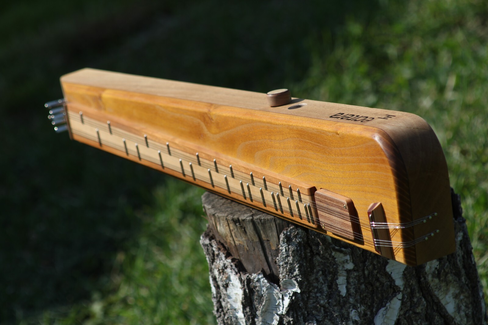 eCitera Electric Zither