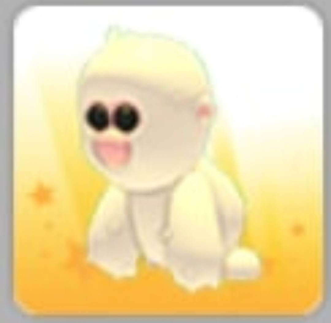 Snow Monkey | NFR | MFR | Adopt Now