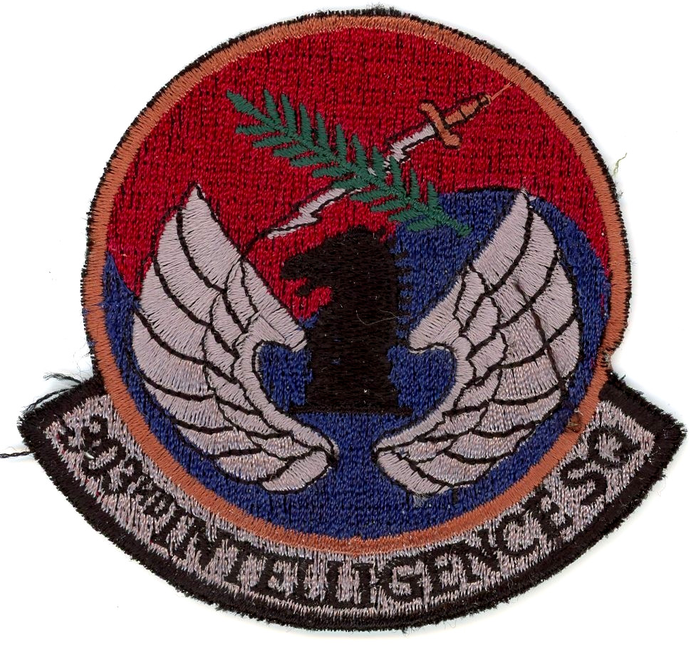 US Air Force Patch: 303rd Intelligence Squadron