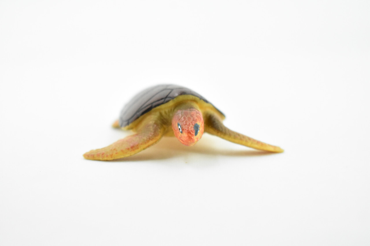 Turtle, Loggerhead Sea Turtle, Realistic Toy, Model, Gift, 2 1/2" CH408 BB108