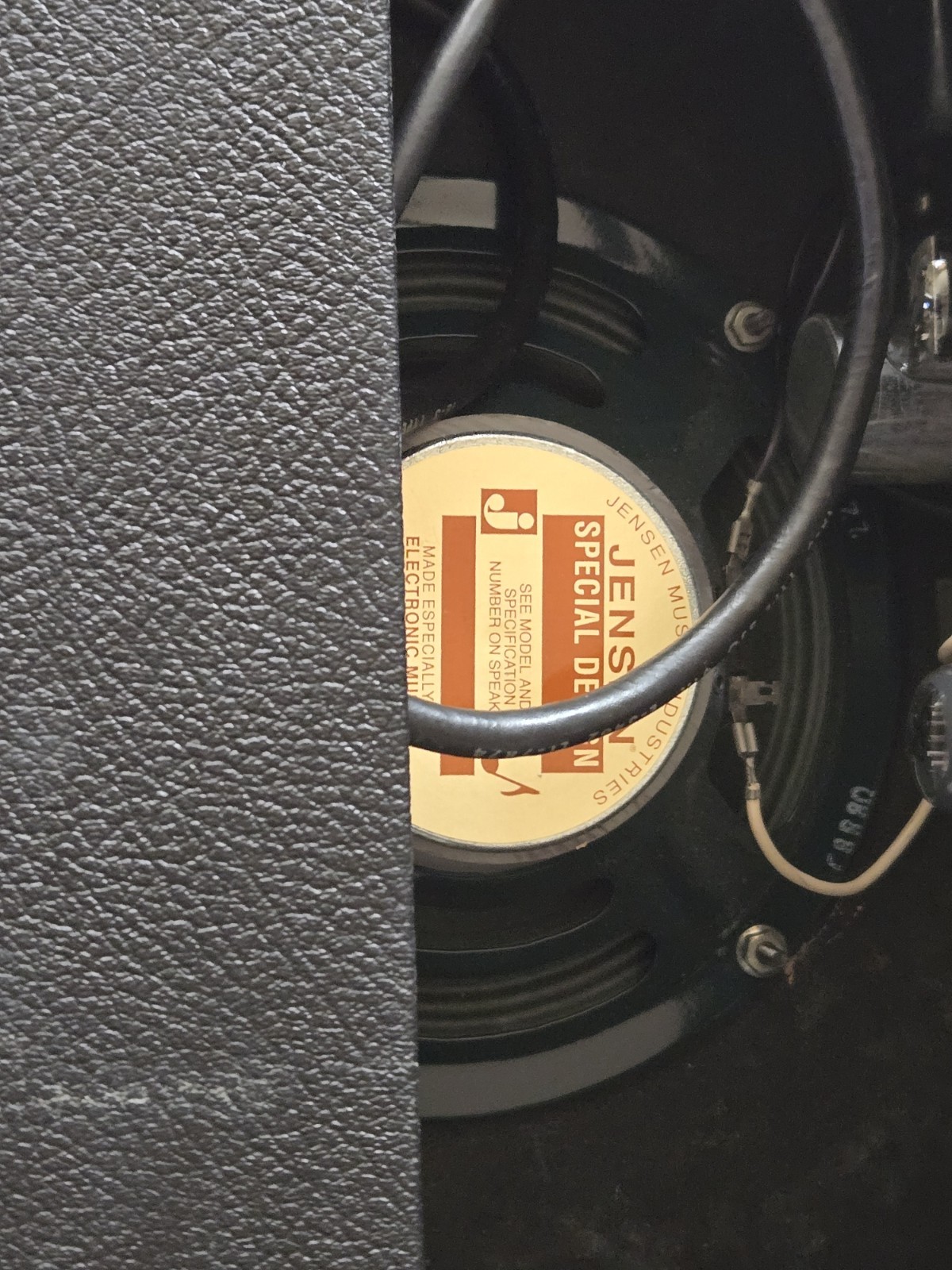 FENDER champ 70'srenewed