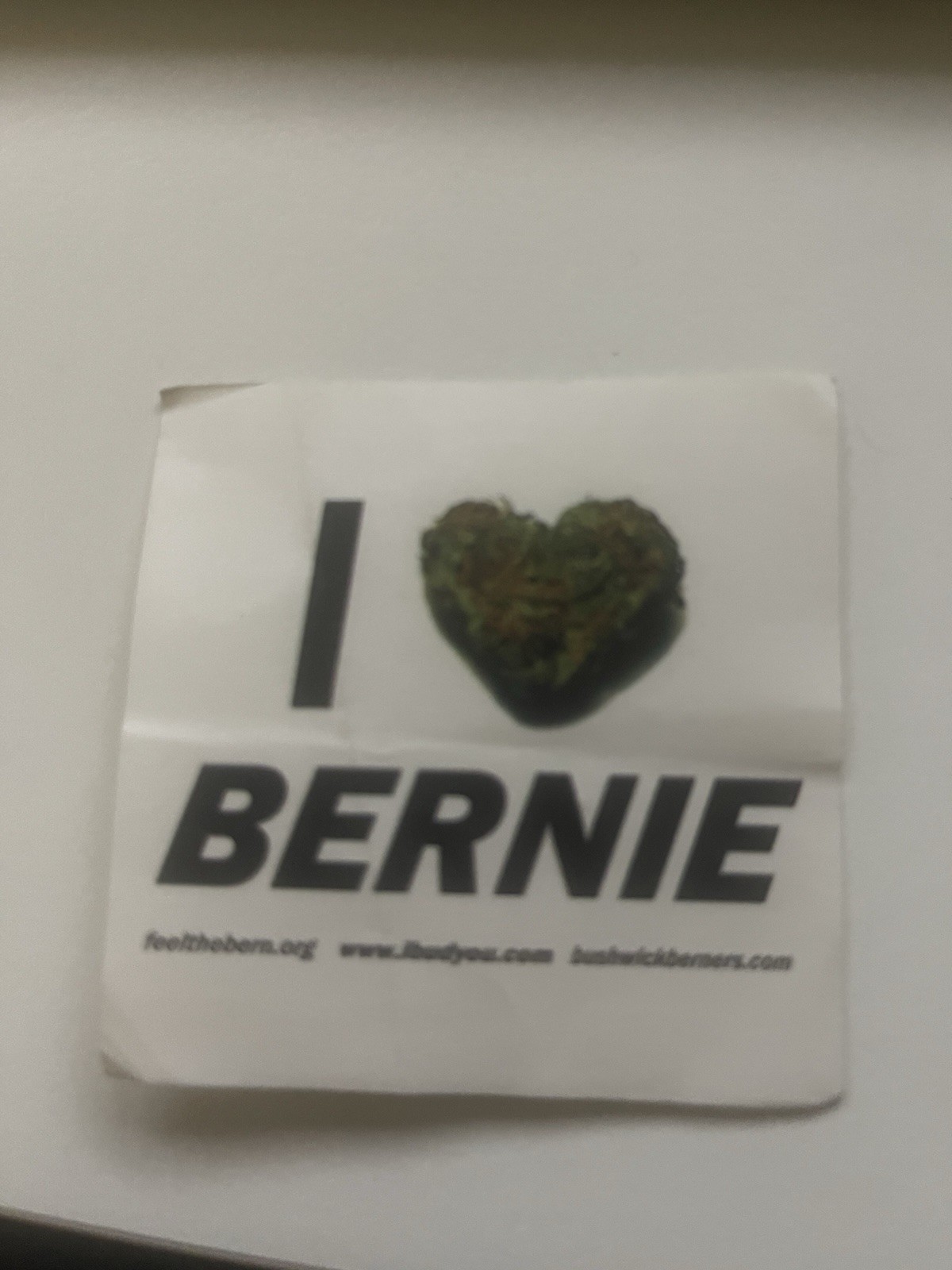 2 Bernie Sanders 2016 Campaign Stickers