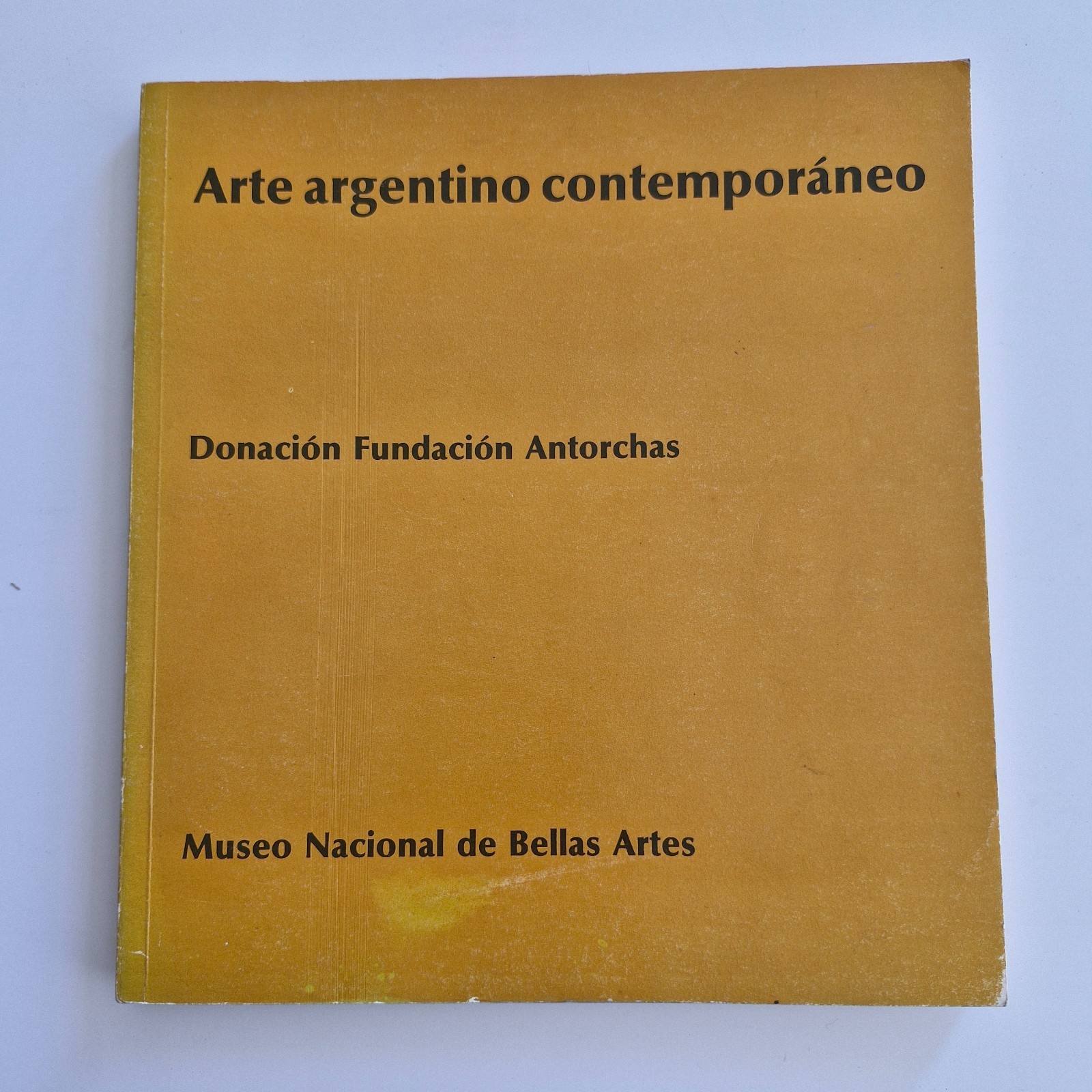 Arte Argentino Contemporaneo - Museo Nacional De Bellas Artes - 1991