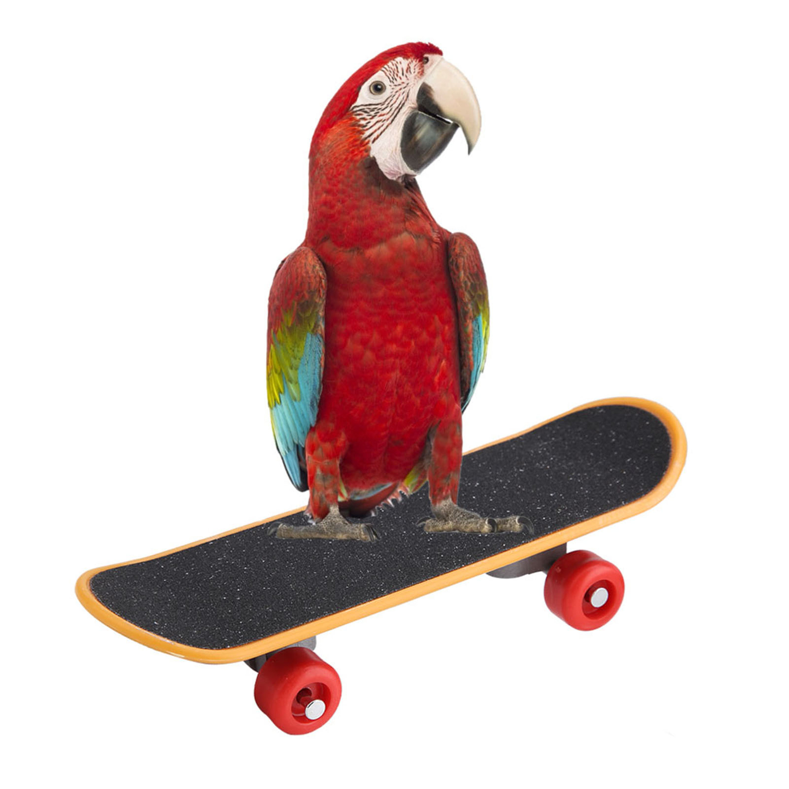 1Pc Skateboard Perch Stand Bird Funny Training Playing Interaction Toy♡