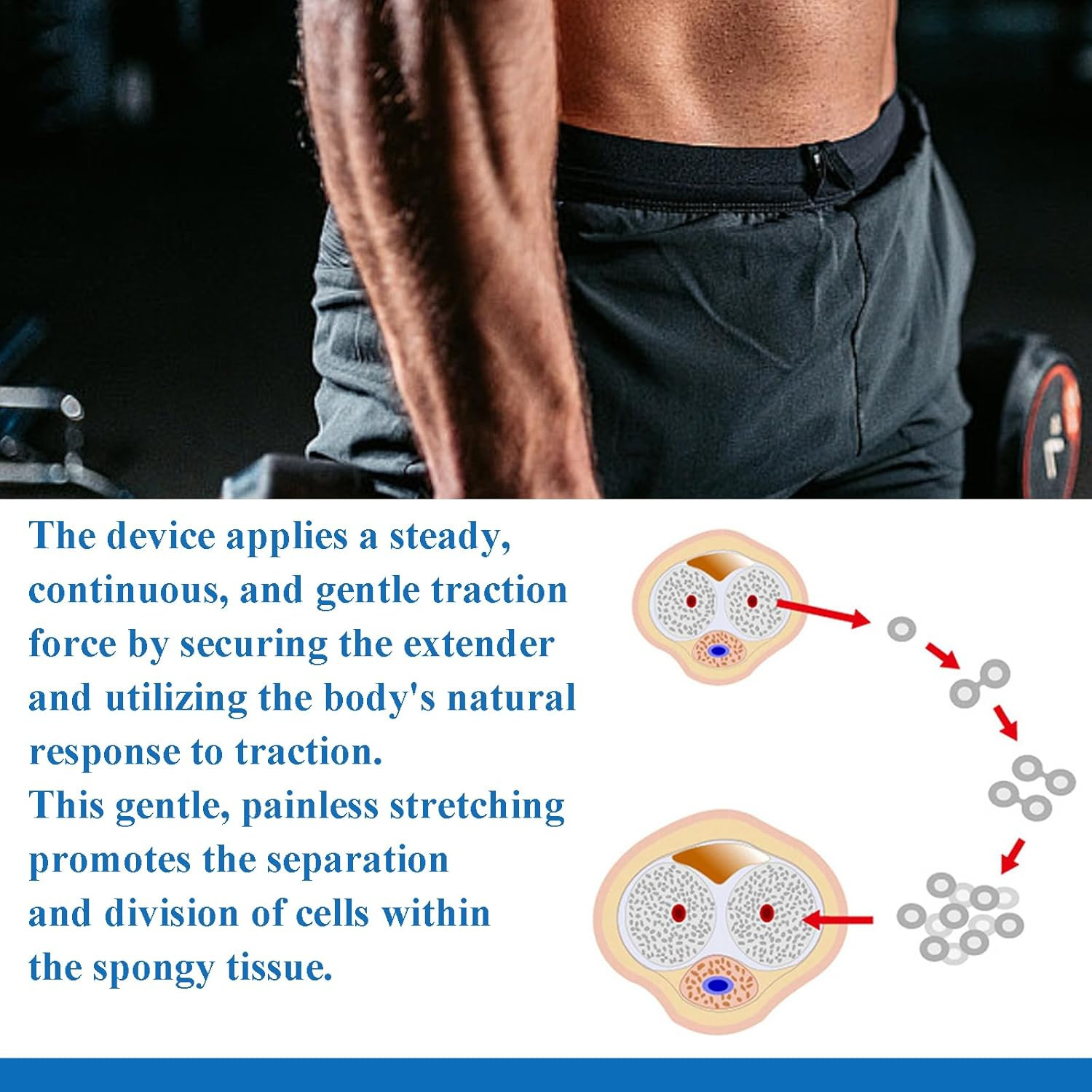 Upgraded Third-Generation Male Extender, Physical Stretching Device Trainer, Adj