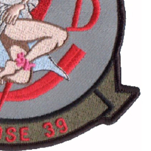 1st SOS Special Operations Squadron Patch SD Goose 39