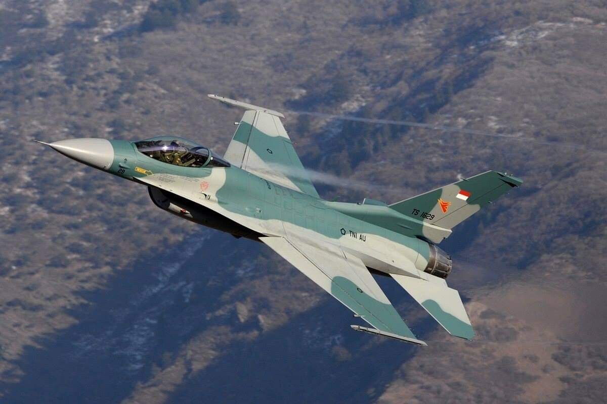 USAF F-16 Fighting Falcon Patch Viper