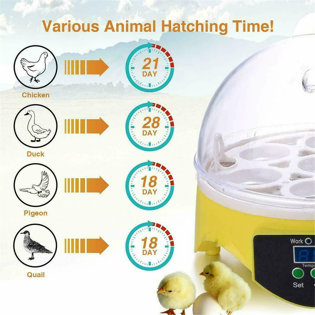 7 Eggs Automatic Digital Egg Incubator Chicken Bird Hatchers Temperature Control