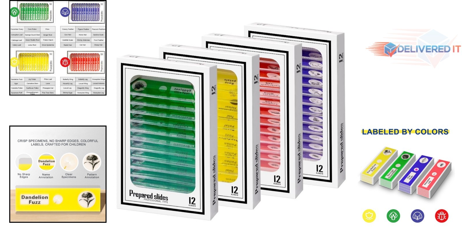 48 Microscope Slides with Animal, Plant & Insect Specimens - Perfect STEM Gift