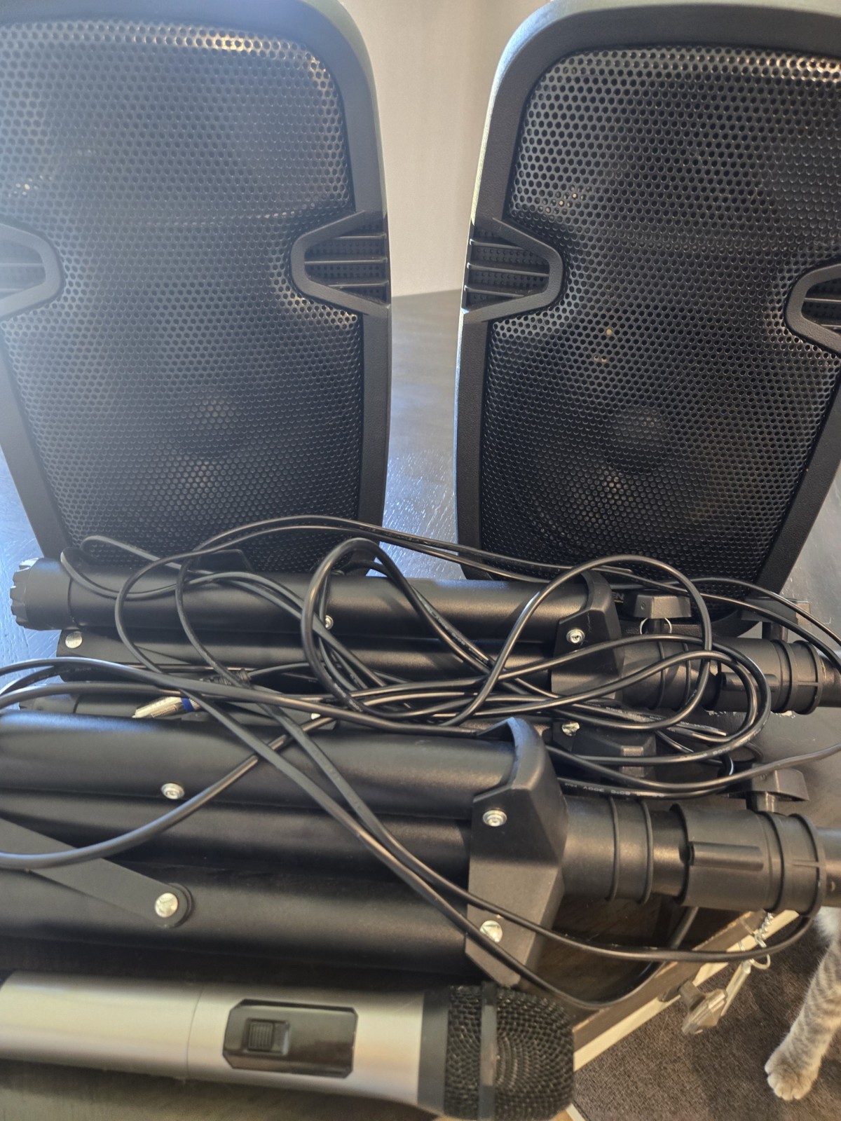 BOWENS SS1010 Karaoke Speaker Set USB AUX Echo, 2 Wired Mics, Stands/Cables