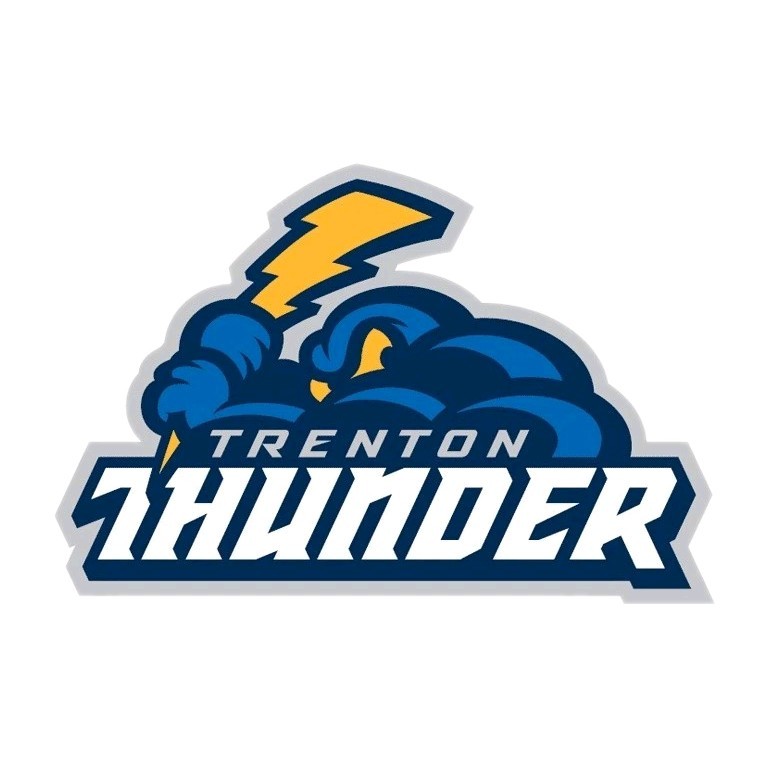 Trenton Thunder Magnet Minor League Baseball Die Cut Laminated