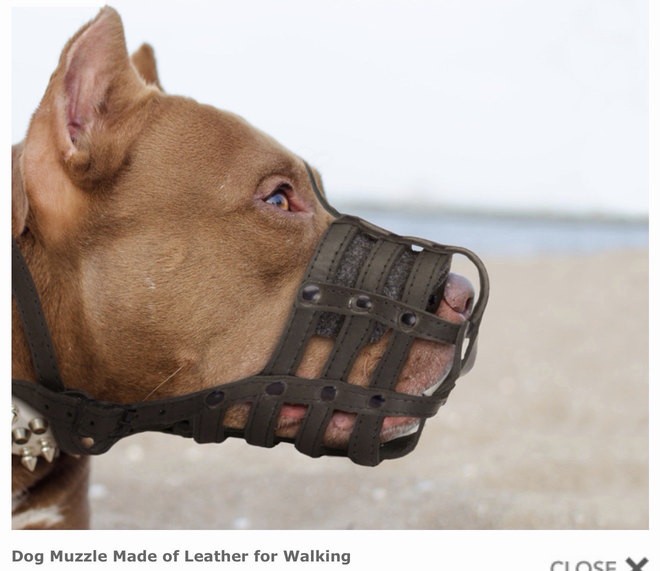 Dog Trainer Leather Super Ventilation Muzzle - EM1 - X-Large Short Snout