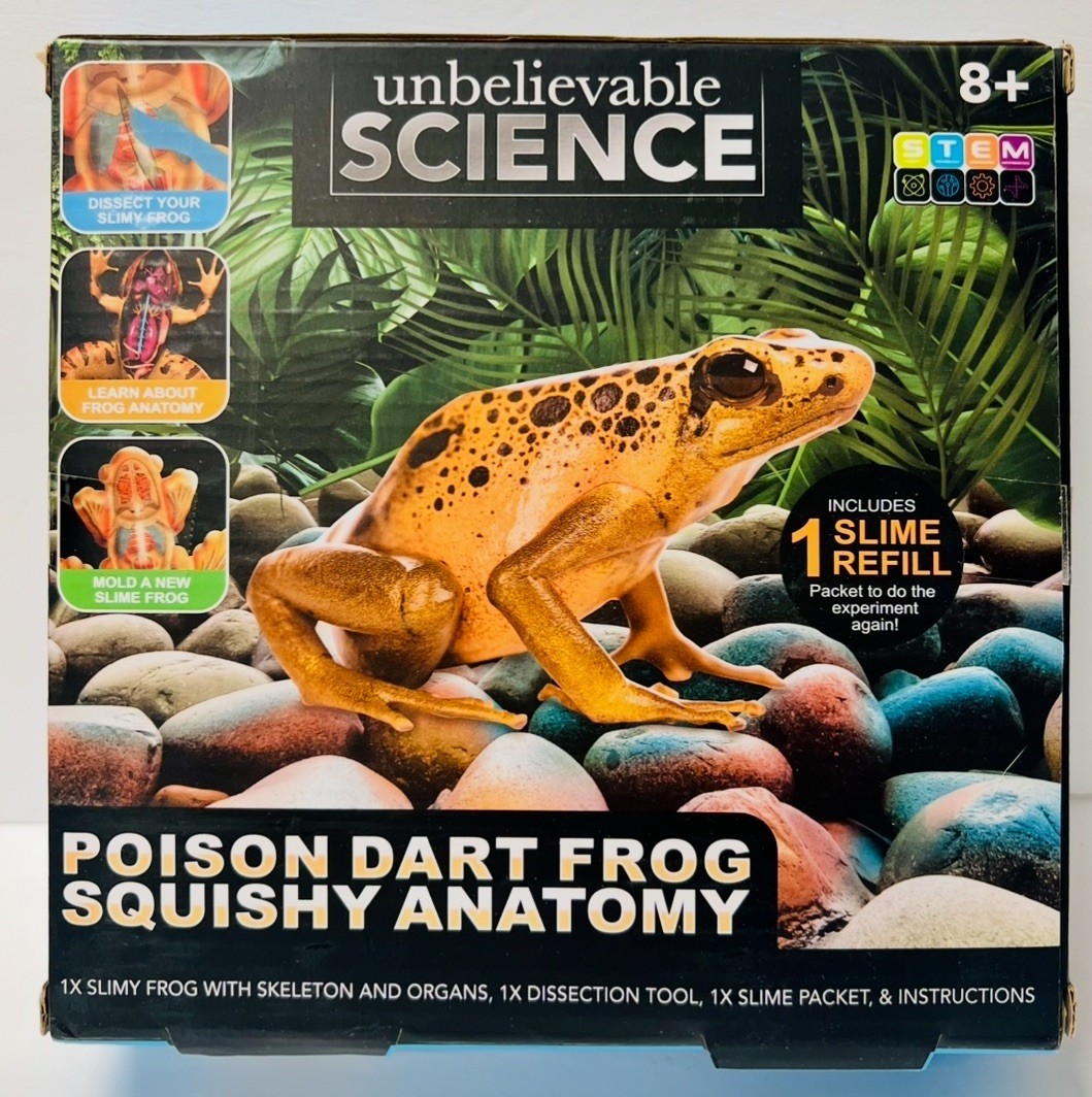 Poison Dart Frog Squishy Anatomy NEW