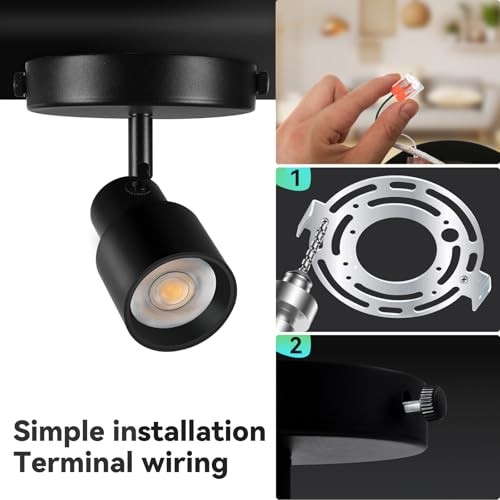 2-Pack Flush Mount LED Ceiling Spotlight Indoor, 10W Dimmable 2 Pack Black