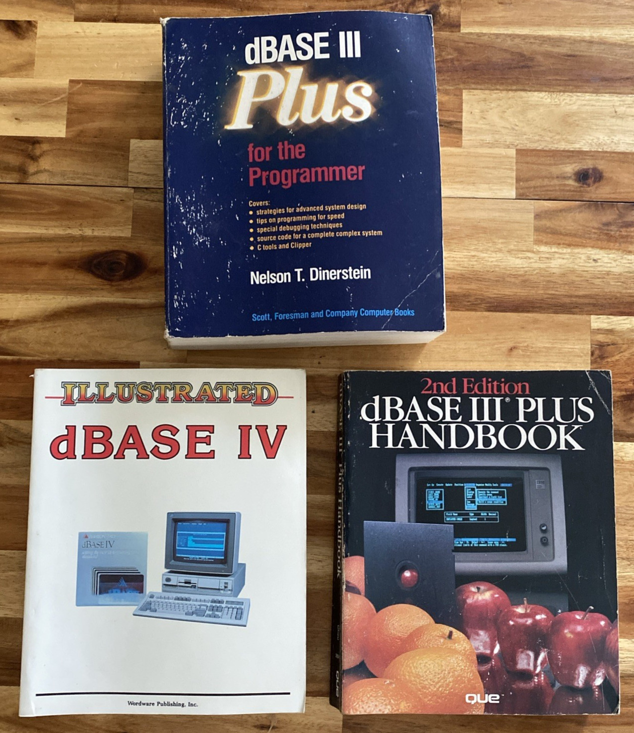 dBase Computer Application Book Lot of 3 Que Nelson D Dinerstein Russel Stultz