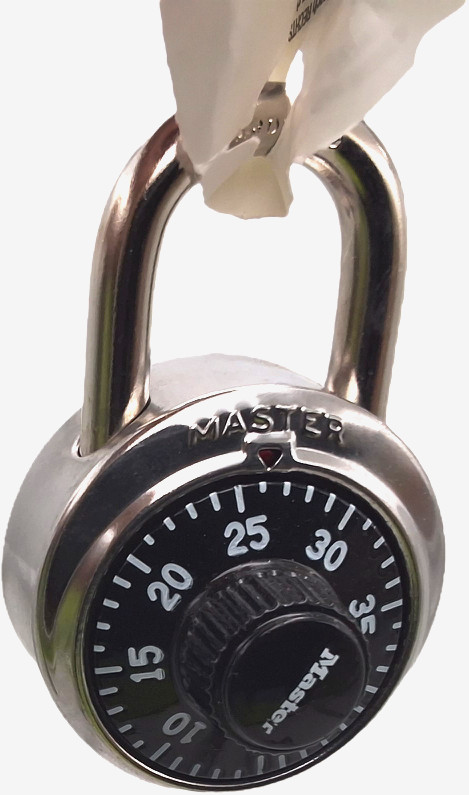 Master Lock 1525EZRC Combination Padlocks School Gym Locker Locks 3 Pack NEW