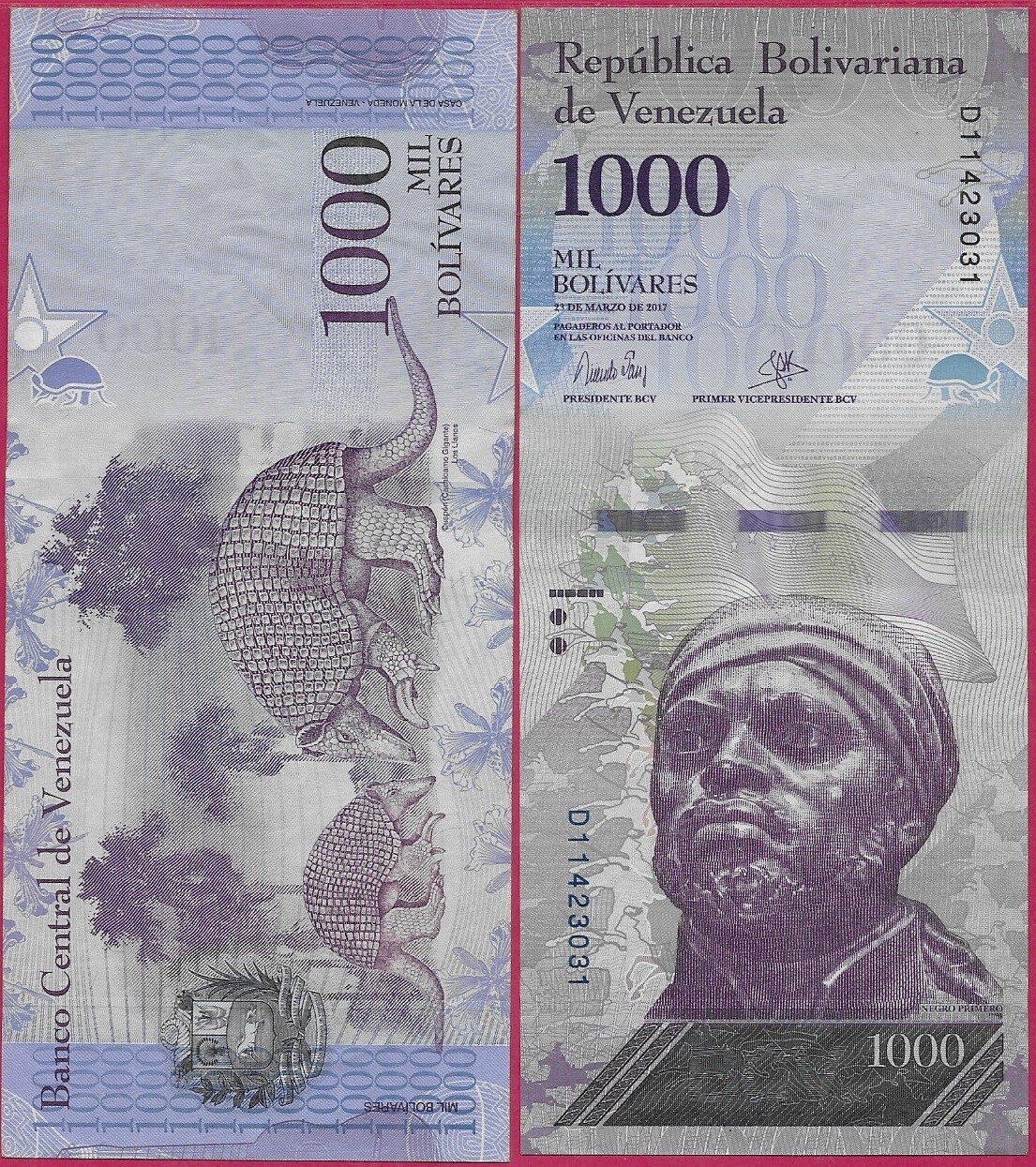 VENEZUELA 1000 BOLIVARES 2017 XF D,CUSPON,TWO GIANT  ARMADILLOS,NEGRO PRIMERO Im