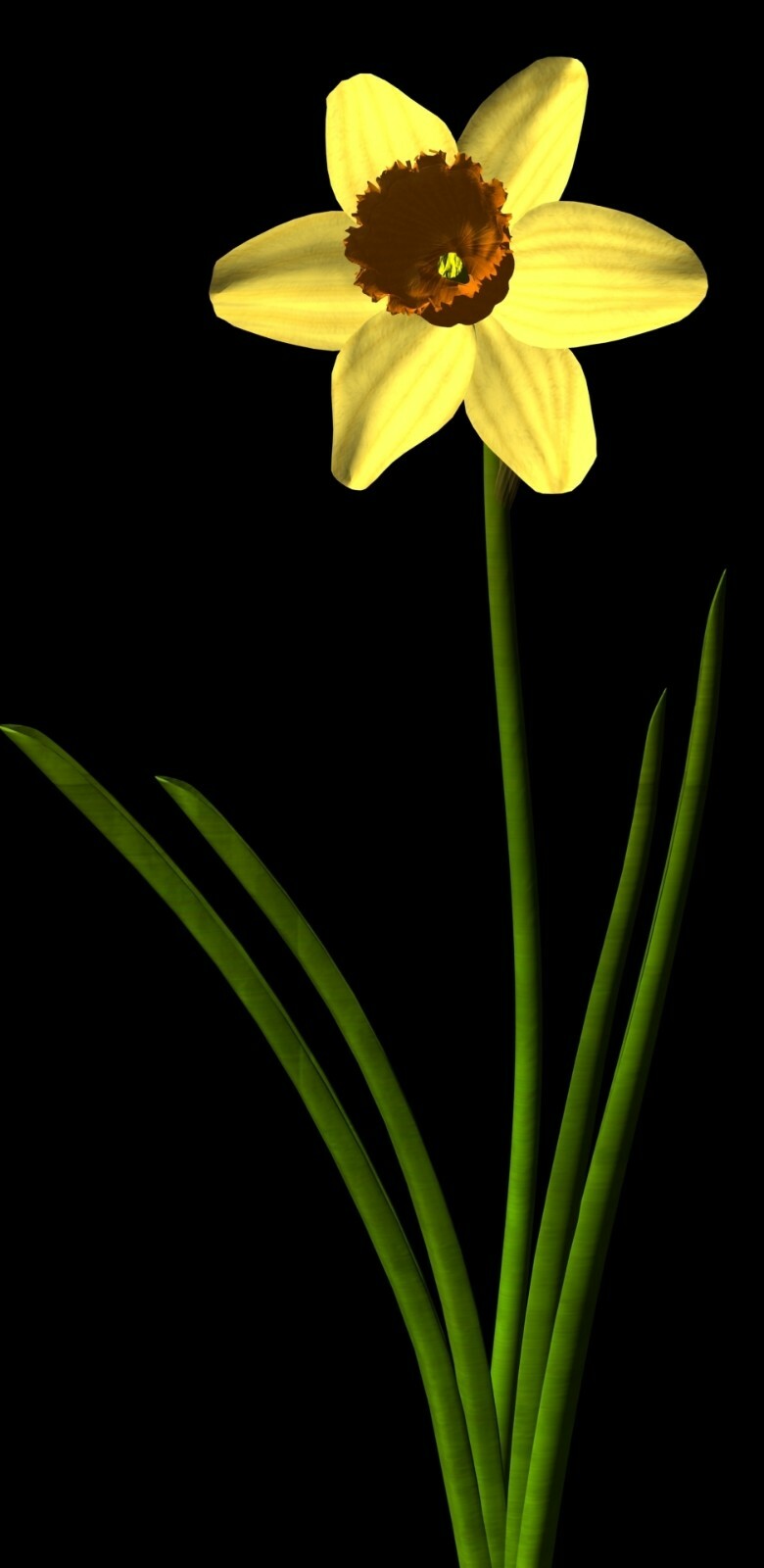 The Botanical 3D Models 75+ Fully Textured Flower & Plant Models in DXF Format