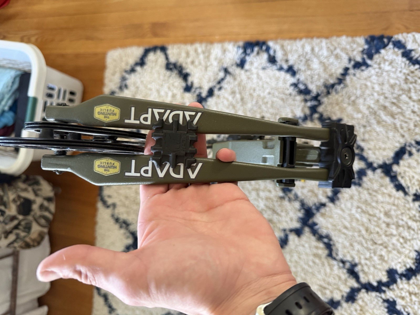 Bear Compound Bow Adapt 3351971