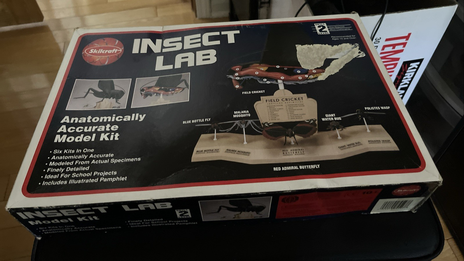 Skilcraft Insect Lab Model Kit sealed box Complete  6 diff Insect Anatomy Models