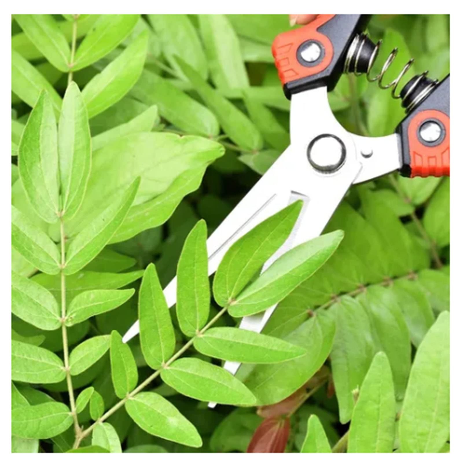 Tiiyee 2 Pack Garden Pruning Shears, Scissors for Precise Red+black