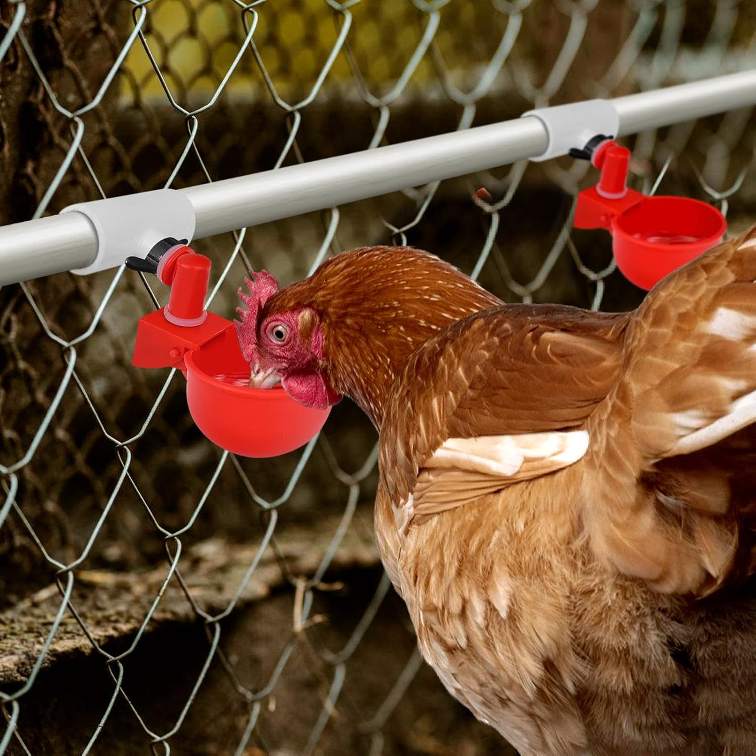 12 Pack Chicken Waterer PVC Tee Fittings - Fully Automatic for Threaded Chicken