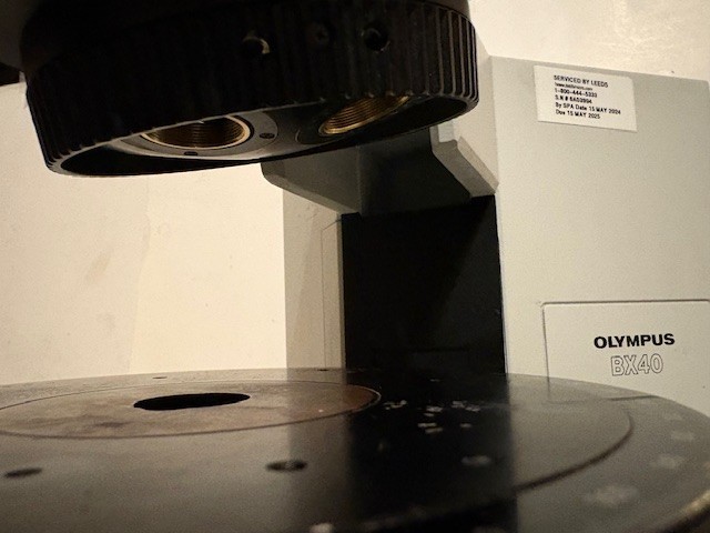 Olympus BX40 POL Polarizing Trinocular Microscope Full Wave Plate